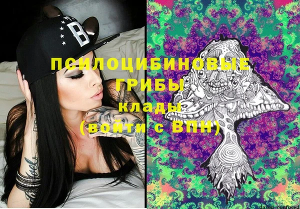 прущие крисы Краснослободск
